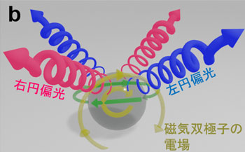 球体からの円偏光放射のコンセプト。(b)電気・磁気双極子の干渉による円偏光の生成。