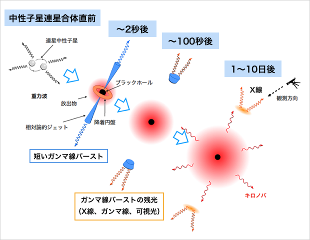 連星中性子星合体から放射されるガンマ線バースト