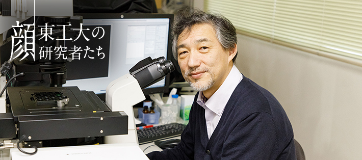 受精卵から体の様々な細胞や組織に分化する仕組みの解明~エピゲノムの研究~ ― 木村宏