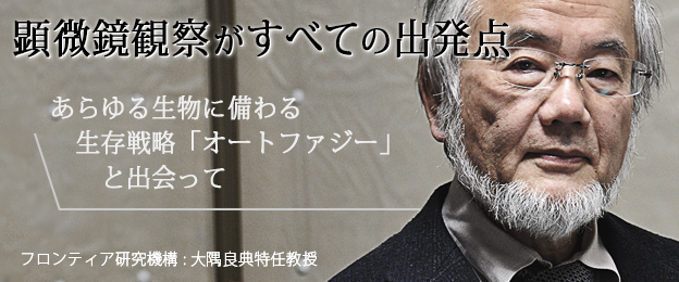 顕微鏡観察がすべての出発点 あらゆる生物に備わる生存戦略「オートファジー」と出合ってフロンティア研究機構　大隅良典特任教授