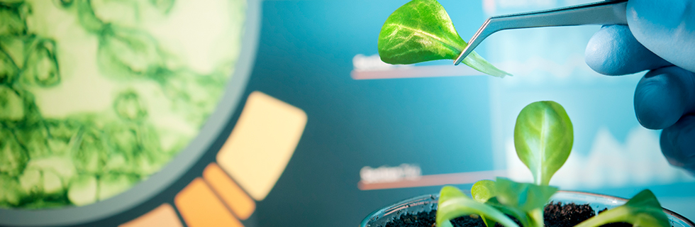 人間医療科学技術コース