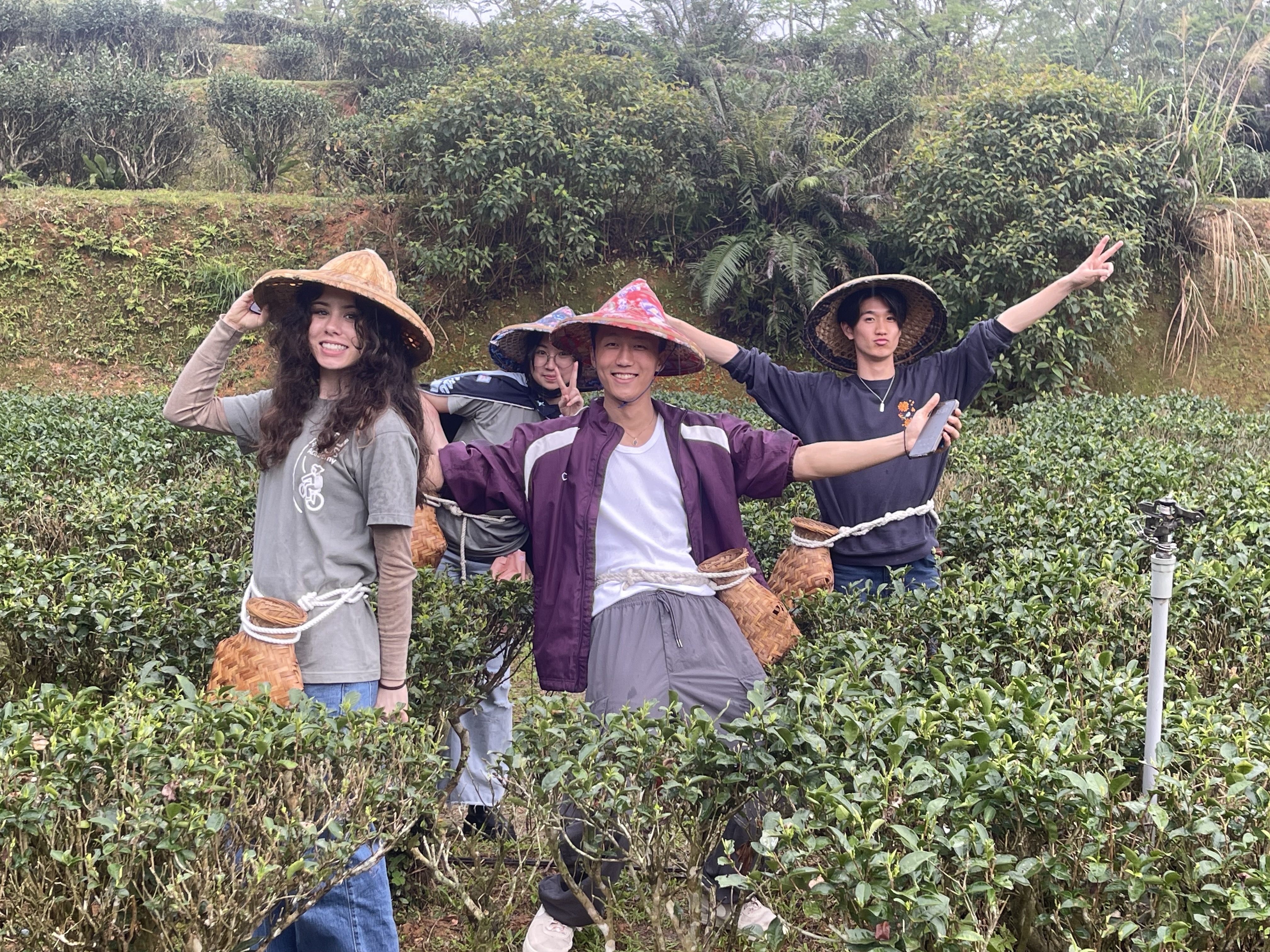 TASTE 海外短期語学学習(中国語)春派遣 国立台湾大学 2025年2月24日~3月19日