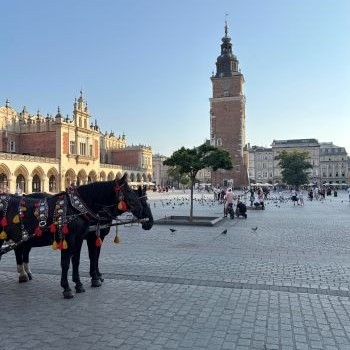 IAESTE／理工系学生のための国際インターンシップ （ポーランド共和国　2025年8月11日～2025年9月19日）