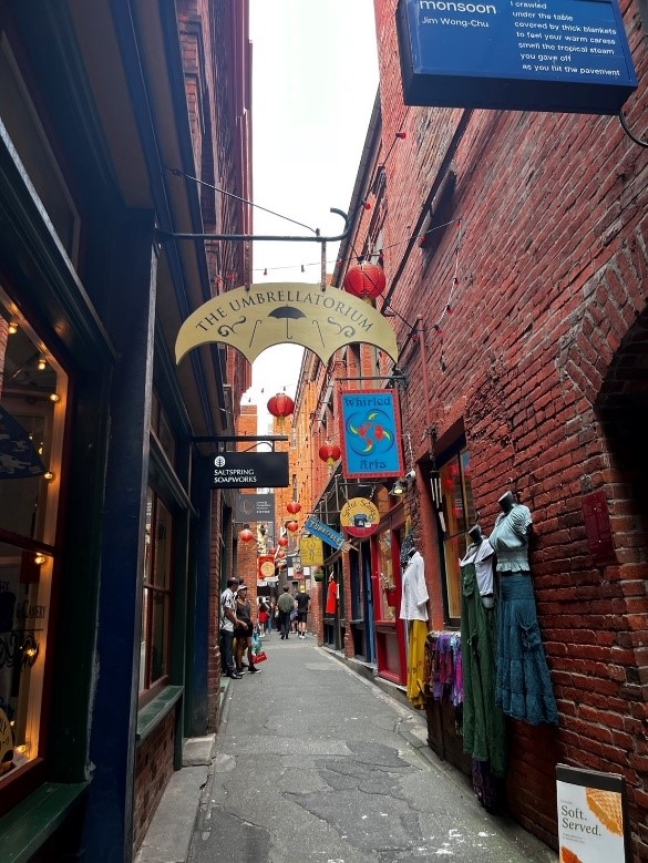  TASTE 海外短期語学学習（英語）夏派遣 2024年9月3日～9月20日